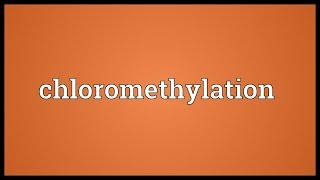 Chloromethylation Meaning [upl. by Zeralda]