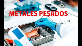 Lo que debes saber sobre los Metales Pesados que acumulamos en el Cuerpo [upl. by Schoenburg906]