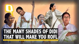 From Didigiri to Sloganbazi The Many Shades of Mighty Mamata Banerjee  The Quint [upl. by Sidra]