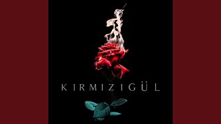 Kırmızı Gül [upl. by Hanforrd]