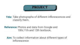 Different types of inflorescence Biology project class 11th amp 12th [upl. by Hsekin]