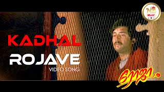 Kadhal Rojave 1080P HD 60FPS Video 51 High Quality Audio Roja Tamil Movie Aravind Swamy Madhubala [upl. by Palladin]