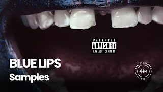 Every Sample From ScHoolboy Qs BLUE LIPS [upl. by Buffy858]