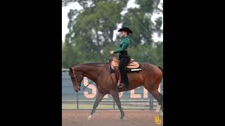 Baylor Equestrian Highlights vs Fresno St  November 1 2024 [upl. by Kcired]