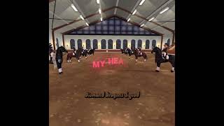 dds dressage edit horse sso equestrian ssoedit bestediting starstable diamonddragonssquad [upl. by Gris]