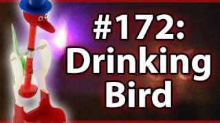 Is It A Good Idea To Microwave A Drinking Bird [upl. by Leahplar]