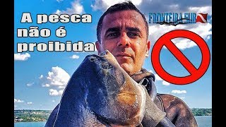 Dica de Pesca Subaquática não é proibida Você sabia disso Leis de pesca Amadora FronteiraSub [upl. by Libyc]