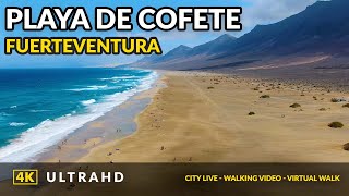 4K Walking in Playa de Cofete ❤️Fuerteventura Canary Islands [upl. by Kata]