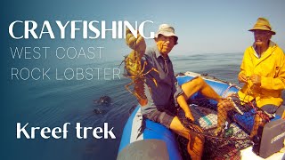 Watch how we catch crayfish in South Africa  West Coast Rock Lobster Season 20212022 [upl. by Levana369]