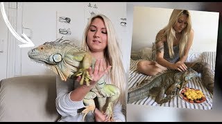 ELLE VIT AVEC UN IGUANE [upl. by Lavena]