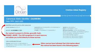 Using the ClinGen Allele Registry [upl. by Barbaraanne]