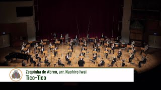 TicoTico  Zequinha de Abreu arr Naohiro Iwai Luxembourg Military Band [upl. by Rodavlas]