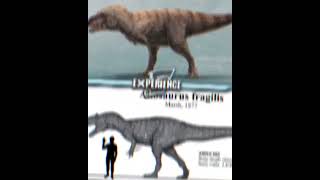 Albertosaurus irl vs Allosaurus inldinosaur animals jurassicpark [upl. by Lulita221]