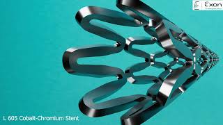 ENDOSTENT Sirolimus Eluting Coronary Stent System [upl. by Kariotta456]