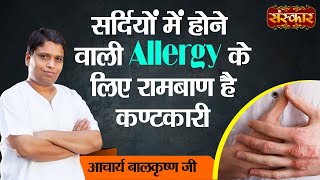 सर्दियों में होने वाली Allergy के लिए रामबाण है कण्टकारी Benefits of KantakariAcharya Balkrishna Ji [upl. by Melda]