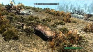 Elder Scrolls V Skyrim  Conjuration Power Levelling Evocatio360 [upl. by Oivatco]