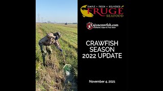 2022 Live Crawfish Season Update [upl. by Leatri]