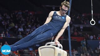 USA Mens Gymnastics Stephen Nedorosciks 2017 and 2018 NCAA pommel horse titles [upl. by Eon]