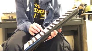 PanteriMauzer on Melodica [upl. by Lynden429]