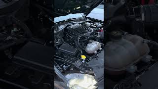 Supercharge 50 mustang sounds ford mustang g [upl. by Wynn]