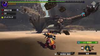 MHXX G1 Bloodbath Diablos Light Bowgun Adept Style [upl. by Legin935]