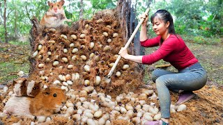 Harvest Palm Weevil Larva In Tree Trunks goes to the market sell  Farm Life  Tiểu Vân Daily Life [upl. by Timi986]