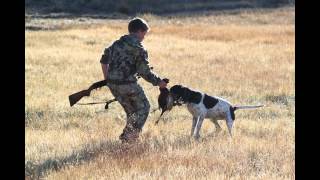 Black Friday Pheasant Hunt [upl. by Downs]