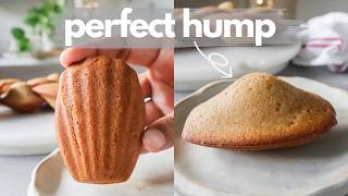 How to Make Perfect French Madeleines at Home  Classic French Madeleines Recipe with Perfect Hump [upl. by Trebliw]