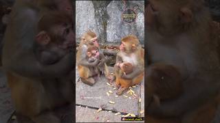 कष्टाळू सासू सासरे🤣😂😀😅 shots viral comedy karamativlog funnyanimals funny [upl. by Arolf774]