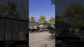 NS MidDPU helpers 1164 and 4059 Locomotives [upl. by Leksehc]