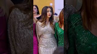 Harika Halay Great Dabke Dance Wedding Party [upl. by Afrikah786]