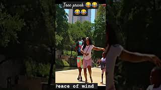 Tree prank 🤣🤣🤣🤣 funny prank subscribe comedy humor like shots share india [upl. by Vasta929]