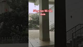 BUỒN Sau bão Sài Gòn vẫn mưa shorts mua bao top trending saigon [upl. by Anhaj]