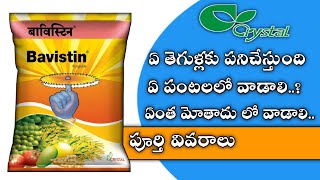 58 Cystel Bavistin Fungicides use in telugu బావిస్తీన్Cystel Bavistin Review by telugu [upl. by Nyrtak]