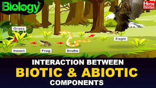 Environment amp Ecosystems  Part 3  Interaction between Biotic and Abiotic Components [upl. by Henghold]