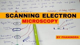 Scanning electron microscopy  SEM  Principle  mechanism [upl. by Idnat]