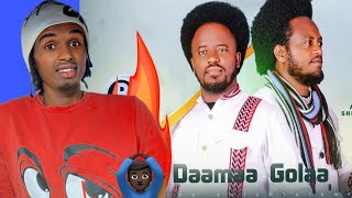 DAAMAA GOLAA OROMO MUSIC BY ShIMALLIS ABBAABBUU amp ABARRAA BEEGII  REACTION VIDEO 2024 [upl. by Rodi]