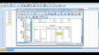 Häufigkeitstabellen mit SPSS [upl. by Filberte839]