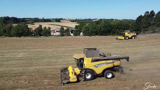 White clover harvesting in Denmark 2022 [upl. by Sparky232]