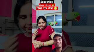 चीजी खायेंगे हम 😂🦜🤣 parrotcomedy funnybirdsparrotlover love cute ytshortsshortsट्रेंडिंग [upl. by Erida]