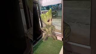 The Dancing Groot shorts funny [upl. by Kataway]