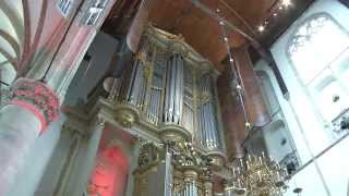 Organ Festival Holland [upl. by Siddra133]