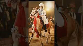 punjabisong musicpunjabi horse tentpegging equestrianhorselover internationaltentpeggingday [upl. by Izogn580]