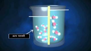 Diffusion and Osmosis  Hindi [upl. by Pollyanna167]