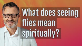 What does seeing flies mean spiritually [upl. by Dnilazor]