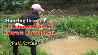 Mancing Sexy Mancing Ikan Nila Dan Ikan Bawal Nemu Sarangnya [upl. by Zitah]