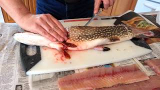 Boneless Northern Pike Fillets [upl. by Pierette]