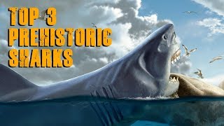 Top 3 Prehistoric Sharks [upl. by Iegres]