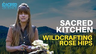 Sacred Kitchen  E1 Wildcrafting Rose hips  Harvesting Plants for Culinary Herbalism [upl. by Irrek]