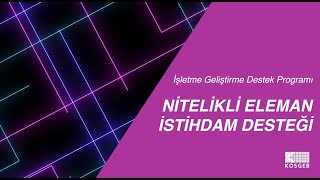 Nitelikli Eleman İstihdam Desteği [upl. by Pentheas939]